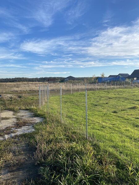 Domnesti, padurea Teghes.