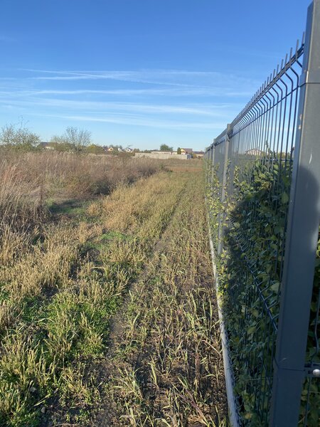 Domnesti, padurea Teghes.