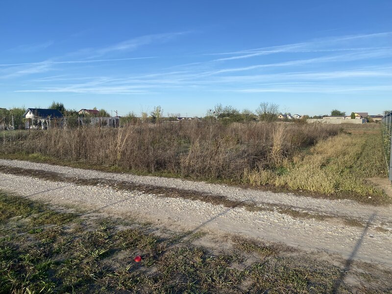 Domnesti, padurea Teghes.