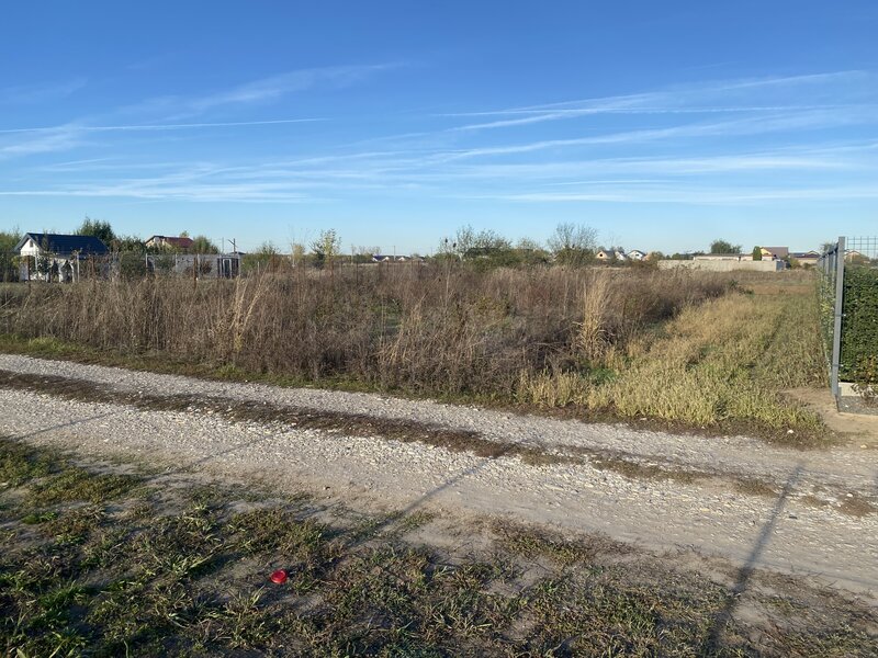 Domnesti, padurea Teghes.