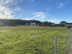 Domnesti, padurea Teghes