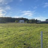 Domnesti, padurea Teghes